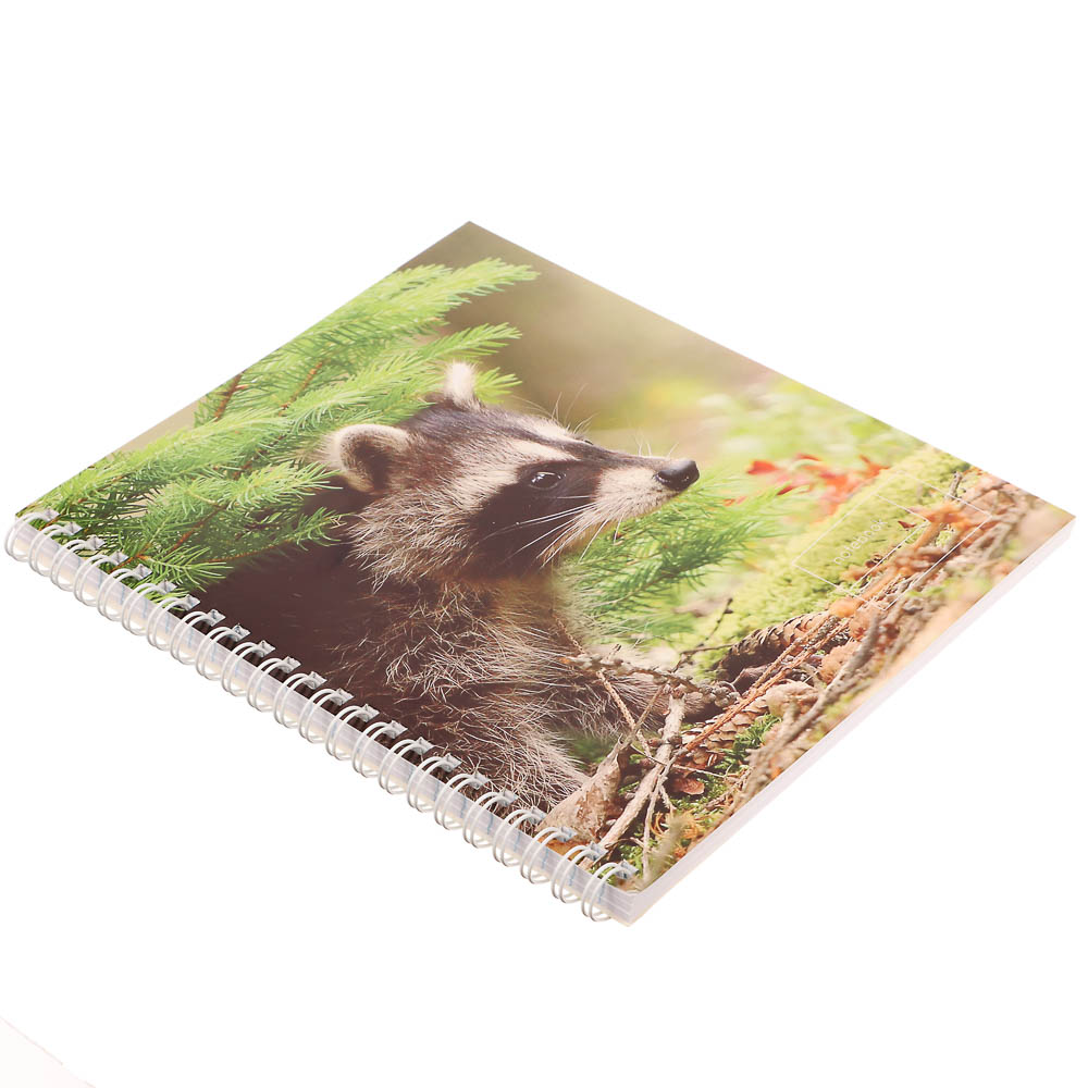 Тетрадь 80 л., А5, БЕЛЫЕ ЛИСТЫ, в клетку, обл.мел. картон, на спирали, микс, арт.№ 578-177