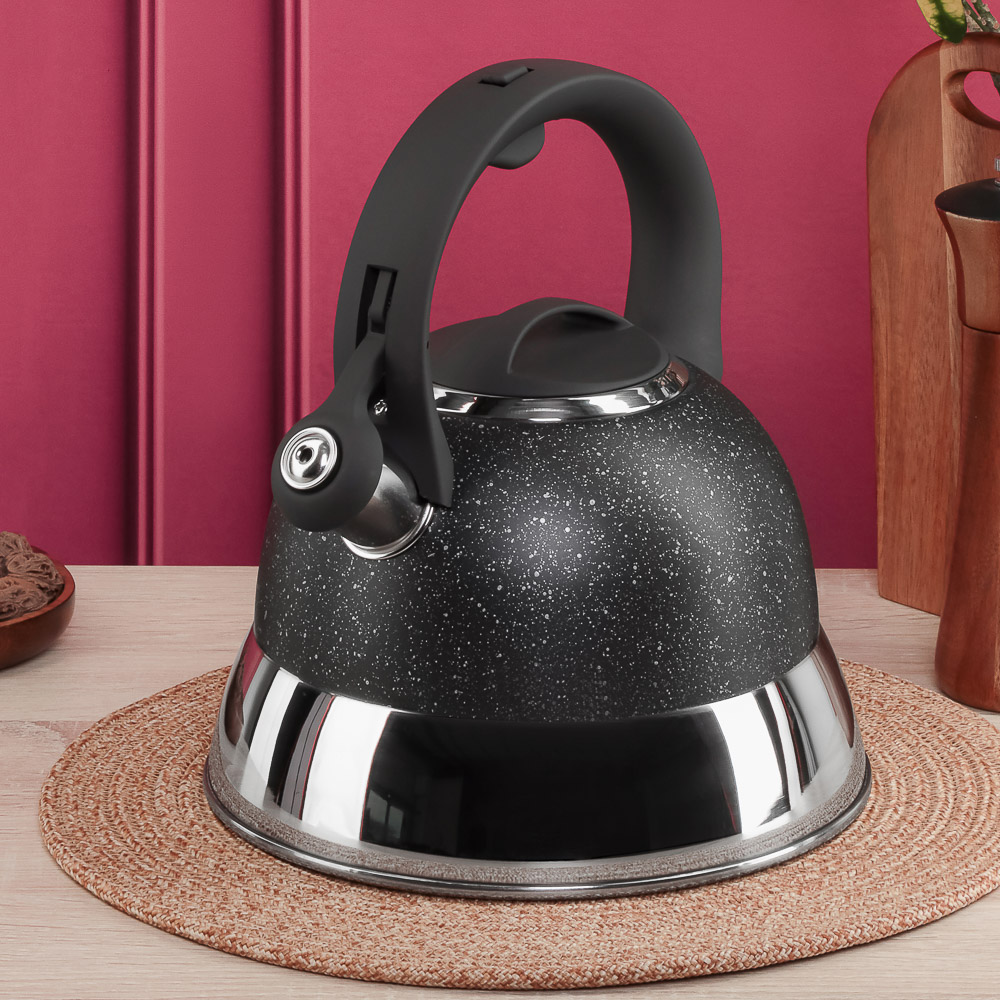 SATOSHI Чайник стальной 2,7л "Гардан", индукция, арт.№ 847-123