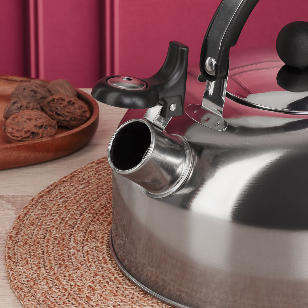 Чайник стальной 2,5л индукция, арт.№ 847-125