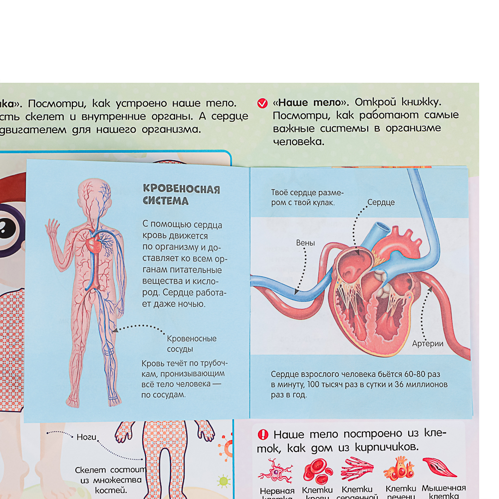 МАЛАМАЛАМА Лэпбук "Мой рюкзачок", картон, 21,9х17см, 3 дизайна, арт.№ 876-090