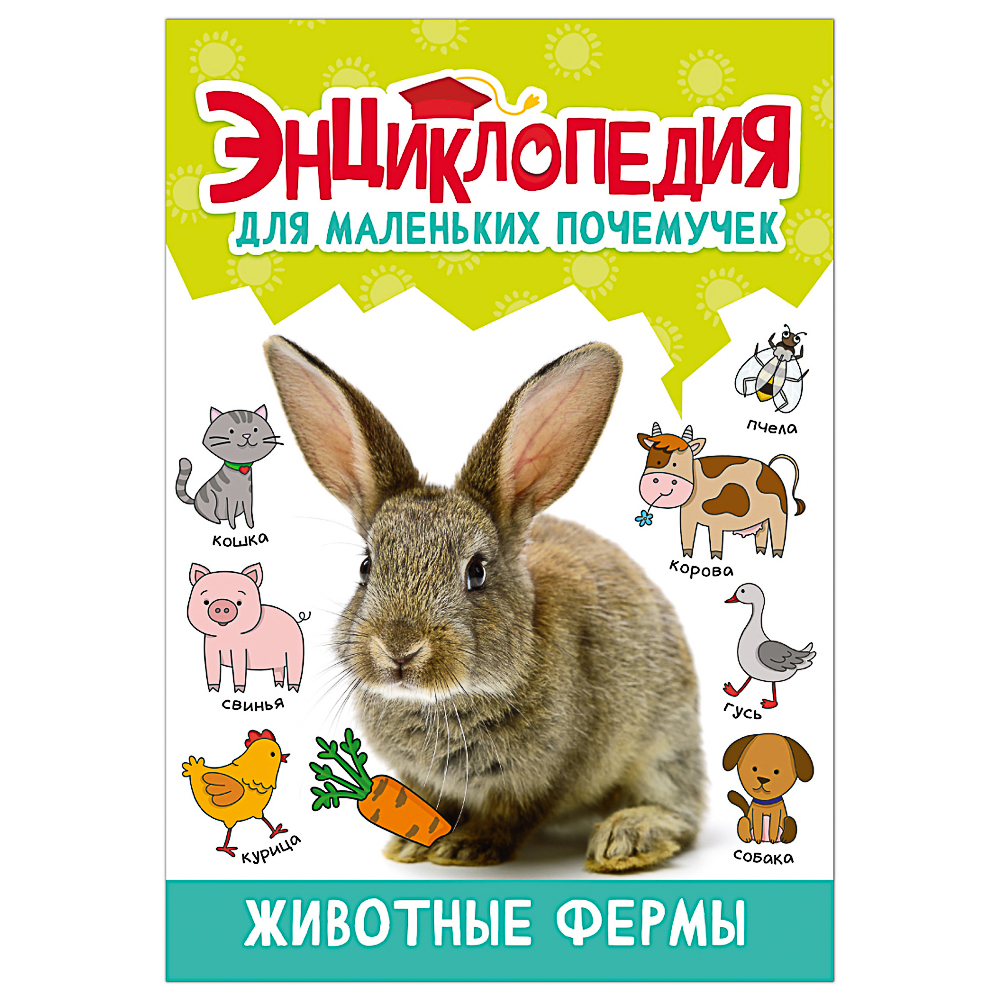ПРОФ-ПРЕСС Энциклопедия "Для маленьких почемучек", 14,5х20,5см, 48 стр, 4 дизайна, арт.№ 857-170