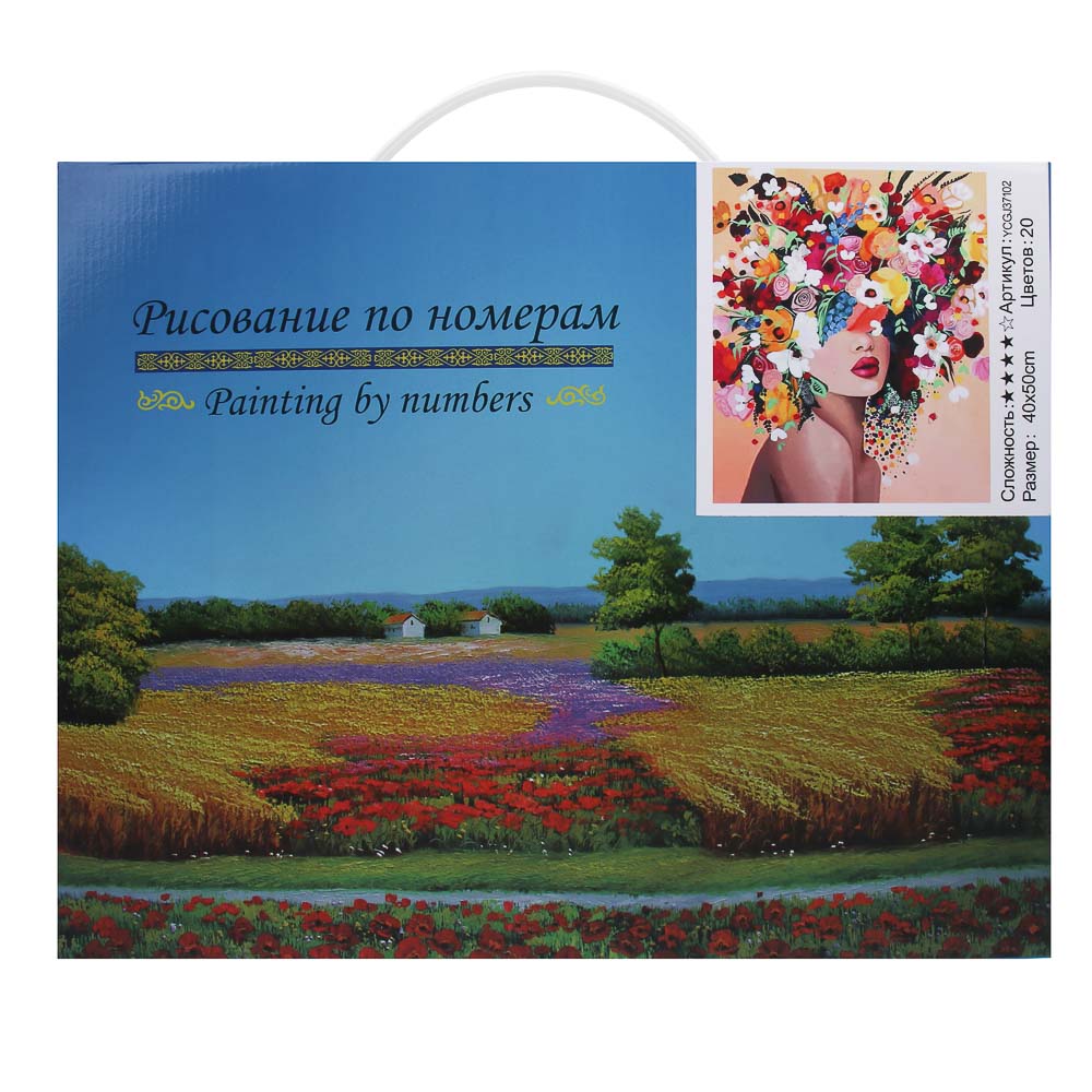 ХОББИХИТ Картина по номерам, комплект (основа, акриловые краски, кисть), 50х40см, 6 дизайнов, арт.№ 284-329