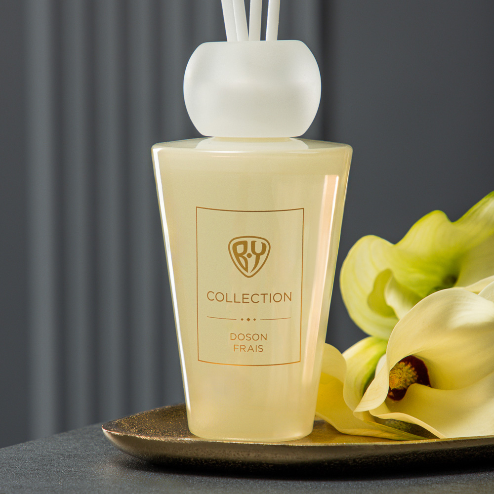 BY Аромадиффузор, 180 мл, Doson Frais, арт.№ 412-239