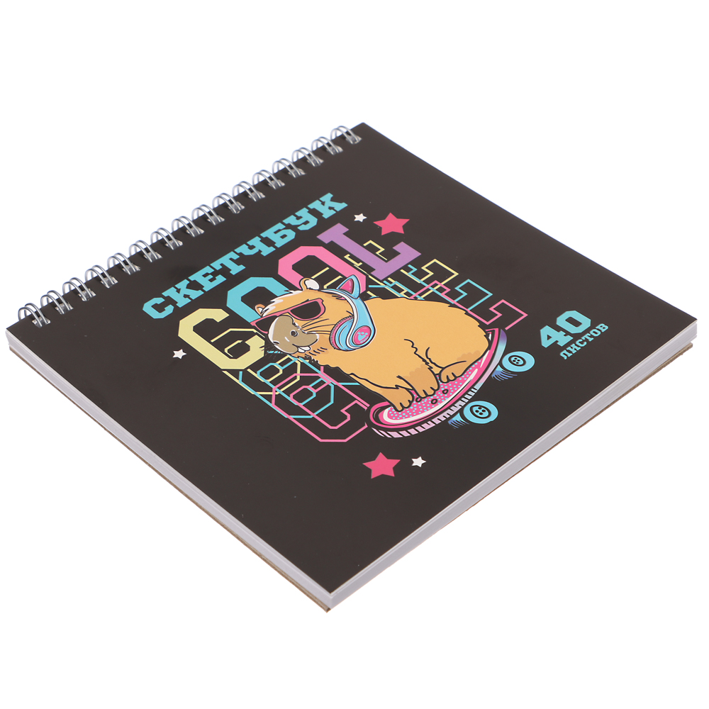 Скетчбук (альбом) 14,5х14,5см, 40л. обл.картон, блок 100г/м2, спираль, тв. подложка, 4 диз., арт.№ 515-069