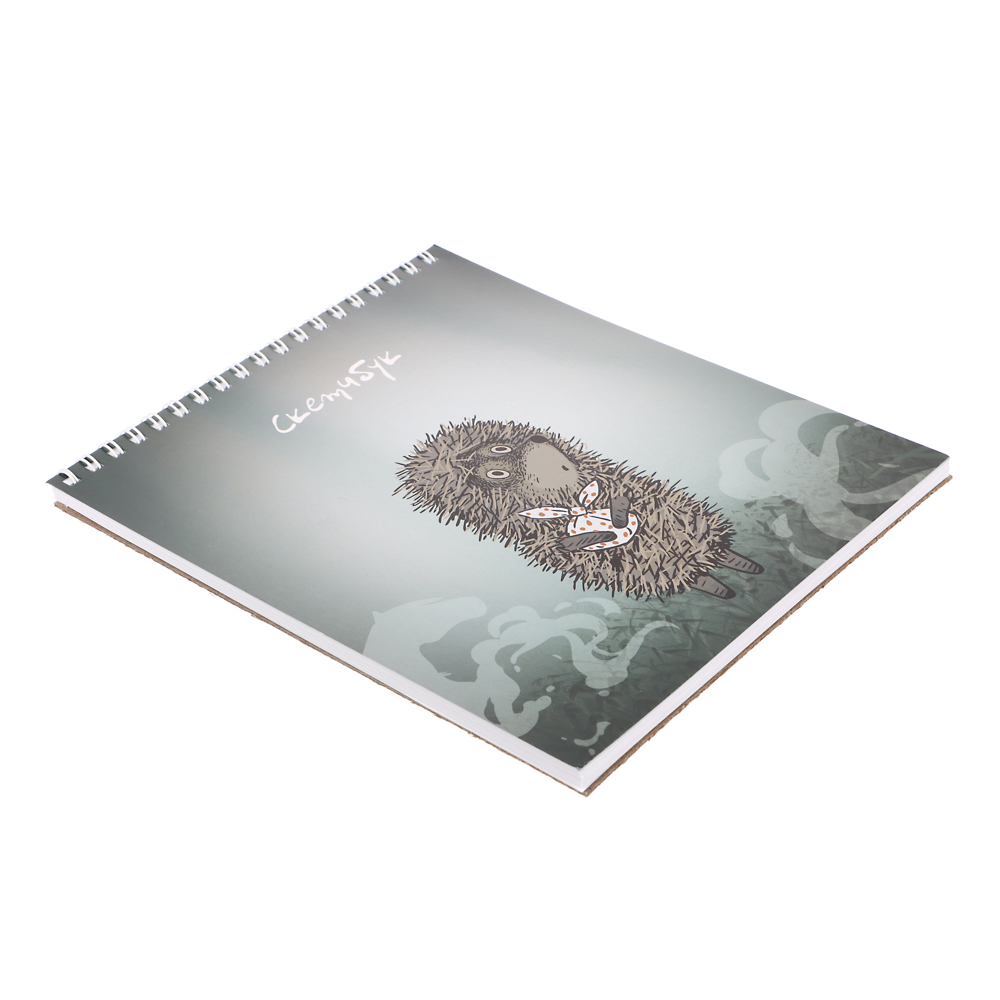 Ежик в Тумане Блокнот для зарисовок (скетчбук) 16,4х19,5см, 30л, спираль, твердая подложка, 2 диз., арт.№ 805-042