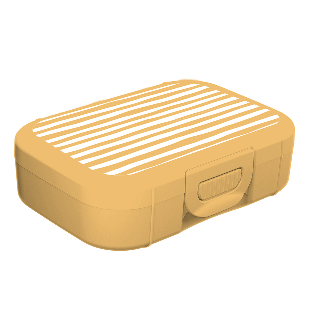 Орра Ланч-бокс 0,85л (18х12,5х5,5см), пластик, 2 цвета, арт.№ 861-599