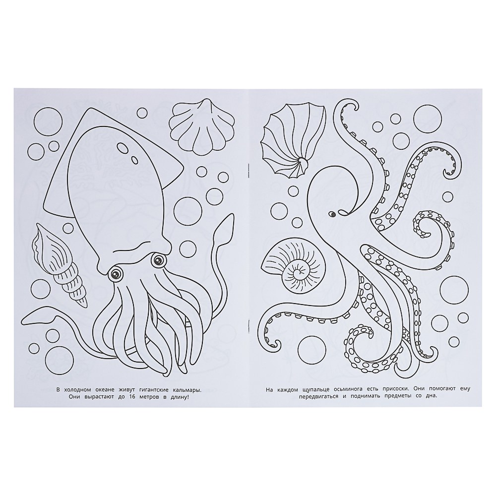 Раскраска 21,4х29 см, бумага, 16 стр., 5 дизайнов, арт.№ 290-385