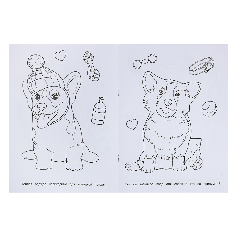 Раскраска 21,4х29 см, бумага, 16 стр., 5 дизайнов, арт.№ 290-385