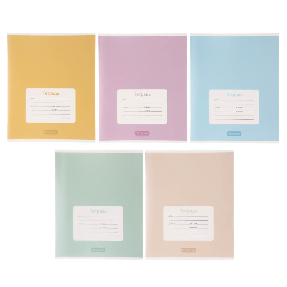 Тетрадь школьная 18л. в линейку ClipStudio, БЕЛЫЕ ЛИСТЫ, обл. пластик, скрепка, арт.№ 579-043