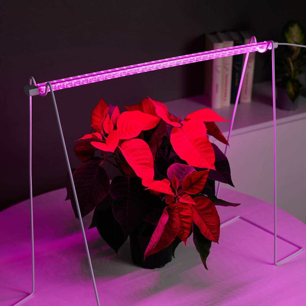 INBLOOM Светильник светодиодный для растений, 32LED, фиолетовый, 54х2.4х1.3см, 8Вт, 220В, ABS, арт.№ 185-090