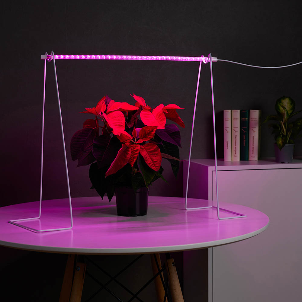 INBLOOM Светильник светодиодный для растений, 32LED, фиолетовый, 54х2.4х1.3см, 8Вт, 220В, ABS, арт.№ 185-090