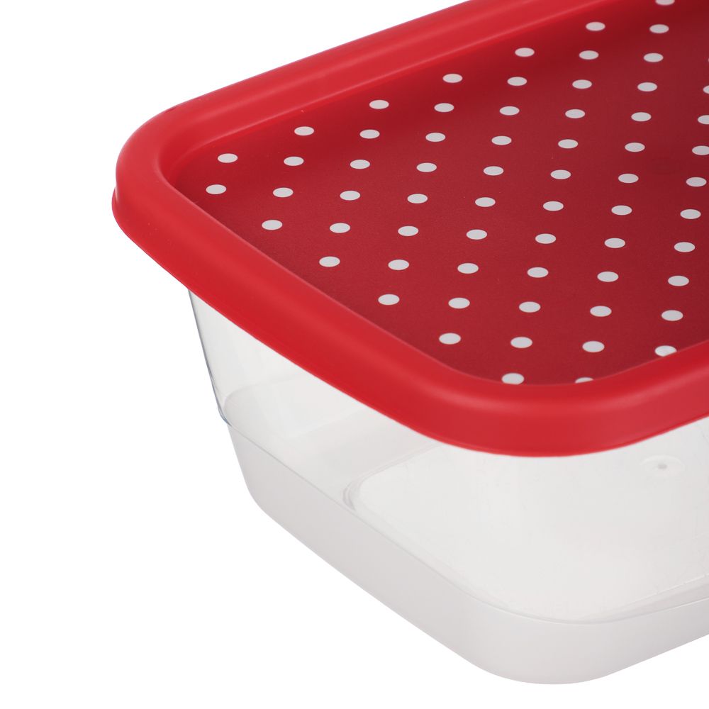 Пасха Контейнер для продуктов прямоугольный 0,85л, пластик, 2 дизайна, арт.№ 861-556