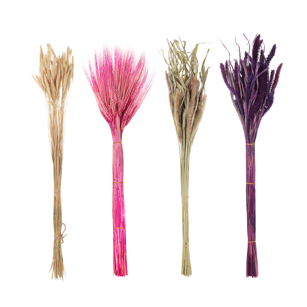 Сухоцветы Ячмень, Могара, тм Колхоз Луч, 70г, в ассортименте, арт.№ 426-010