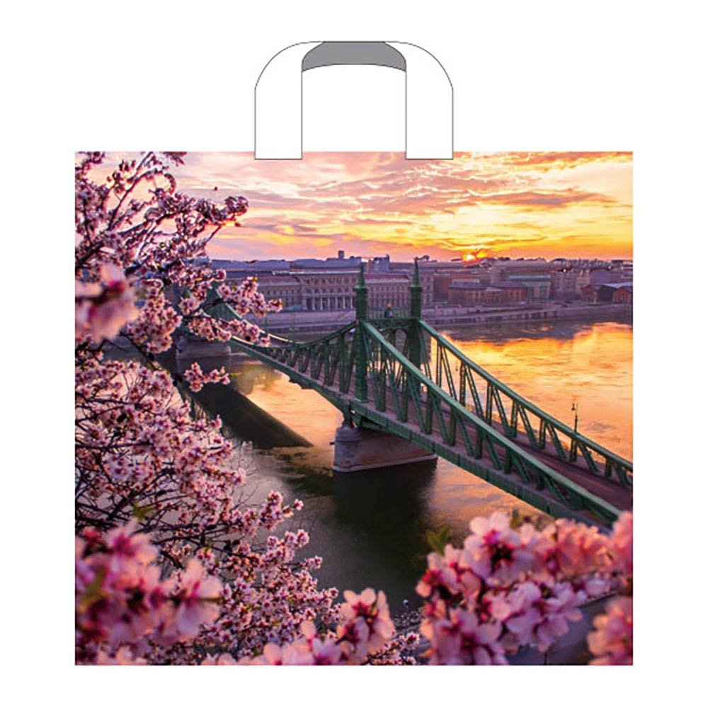 Пакет "Дунай" ПЭ с петлевой ручкой 38х34см, арт.№ 568-270