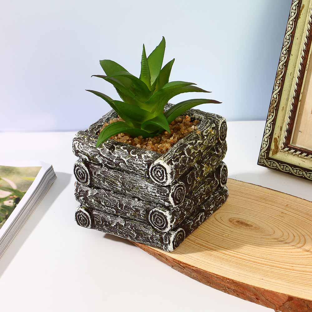 Цветочная композиция, суккуленты в кашпо, пластик, керамика, 7x6x10 см, арт.75, арт.№ 501-543