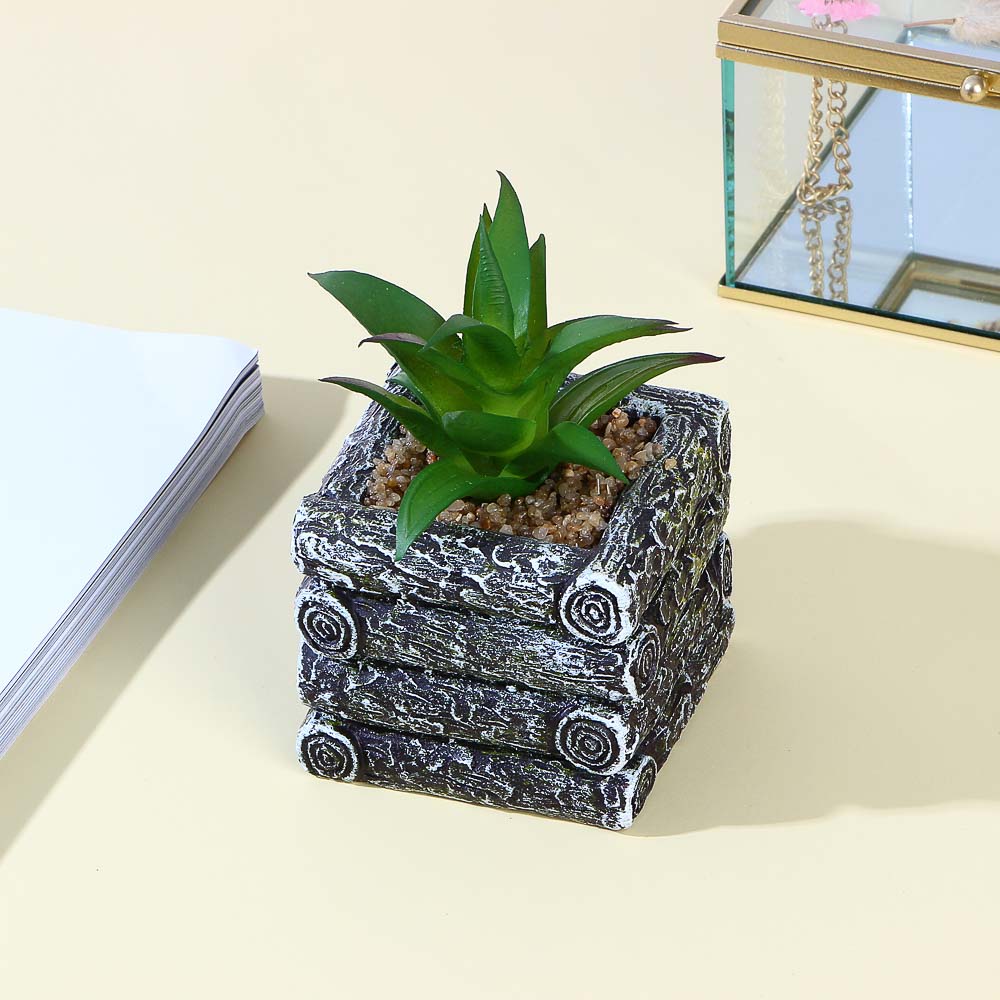 Цветочная композиция, суккуленты в кашпо, пластик, керамика, 7x6x10 см, арт.75, арт.№ 501-543