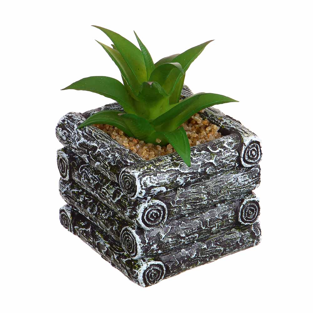 Цветочная композиция, суккуленты в кашпо, пластик, керамика, 7x6x10 см, арт.75, арт.№ 501-543