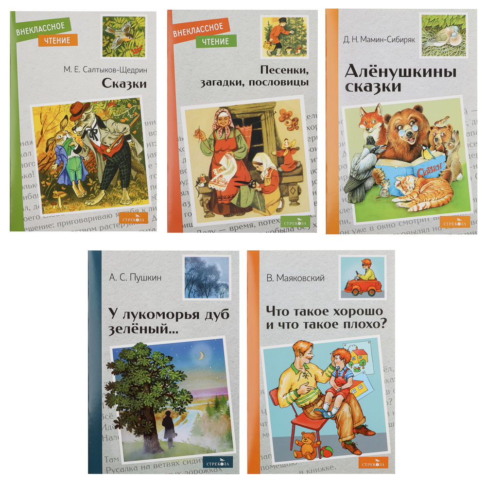 Книжка "Внеклассное чтение", мягкий переплет, 13,8х21см, 60-80 стр., 5 дизайнов, арт.№ 837-214