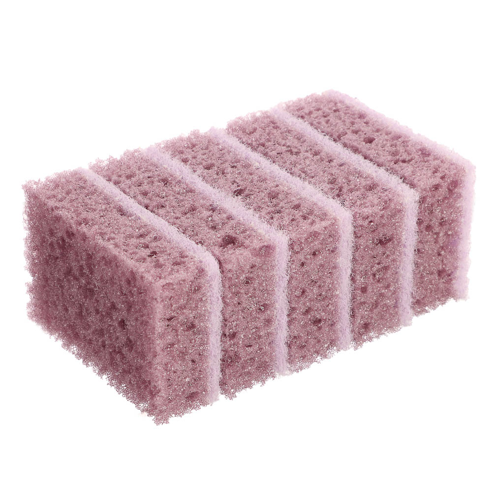 Набор губок для мытья посуды, 5 шт, 98x66x30мм, ботаника, арт.№ 441-293