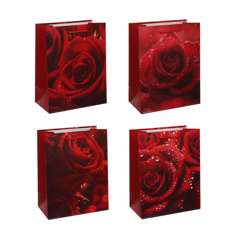 Пакет подарочный тм Fntastic 18x23x10см, бумага, 4 дизайна, арт.7, арт.№ 507-445