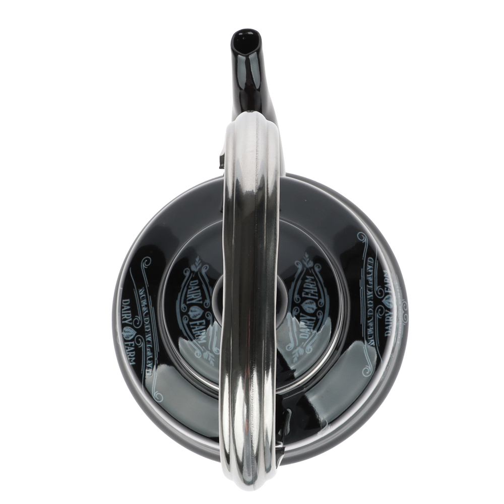 VETTA Ранчо Чайник эмалированный 1,1 л, 3 дизайна, индукция, арт.№ 894-484