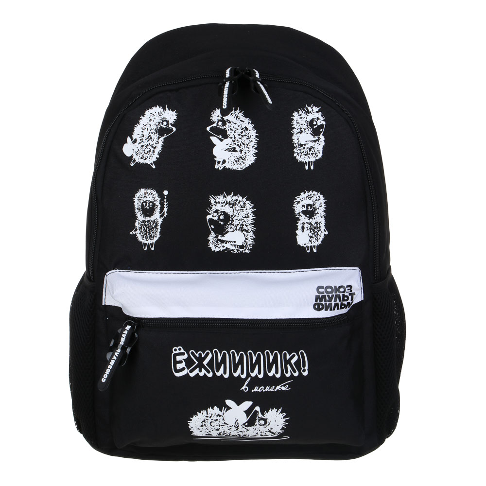 Ежик в Тумане Рюкзак подростковый 40х30х15 см, 1 отд., 4 кармана (1 на спинке), уплотнен.лямки, полиэстер, арт.№ 805-033